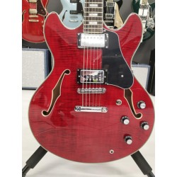 Sire H7 STR Larry Carlton See Though Red
