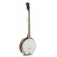 VGS Banjo Tennessee 5C w/Case
