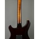 PRS Custom 24 10 Top ZW Wood Library Map Neck