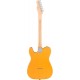 Fender American Professional Telecaster Maple Fingerboard Butterscotch Blonde