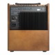 Schertler David Wood Classic Combo Amplificatore 100 Watts Chitarra Acustica